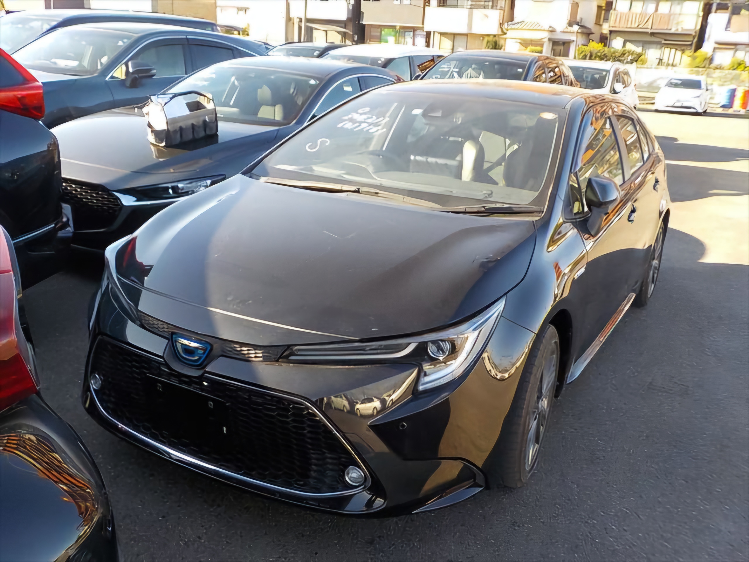 Toyota Corolla WxB